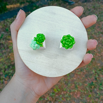 Succulents | Artisan Keycaps